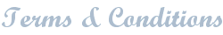 TNT Web Design - Web Design and Consultancy